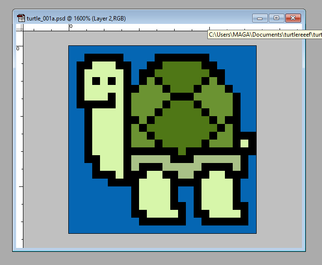 This image has an empty alt attribute; its file name is turtle_001a1-1.jpg